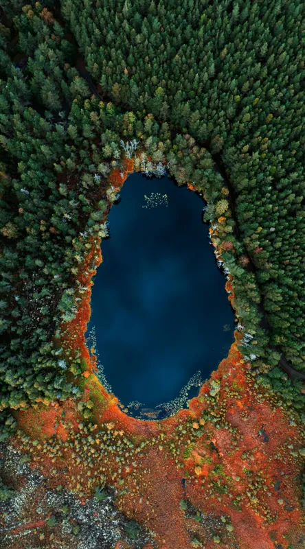 Lacul în inima pădurii toamna, 50 x 90 cm – poza 2