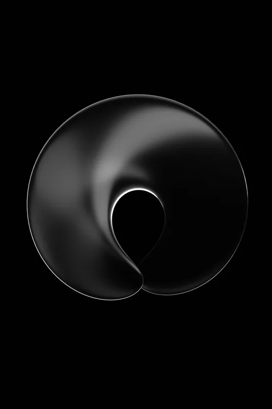 Vortexul Eleganteții în Contrast Negru, 26 x 39 cm – poza 2