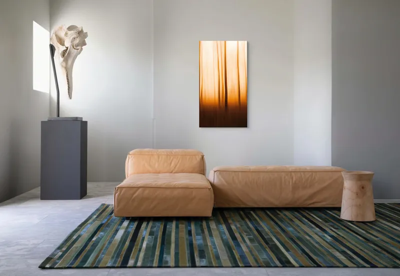 Lumină și umbre în amurg pădure, 50 x 90 cm – poza 5