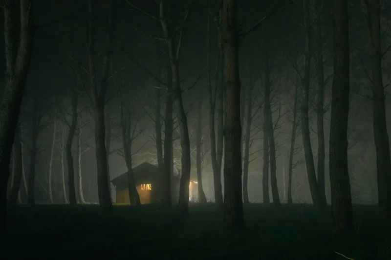 Cabana misterioasă în pădure luminată, 39 x 26 cm – poza 2