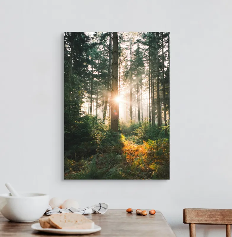 Lumina soarelui în pădure liniște, 50 x 70 cm – poza 3