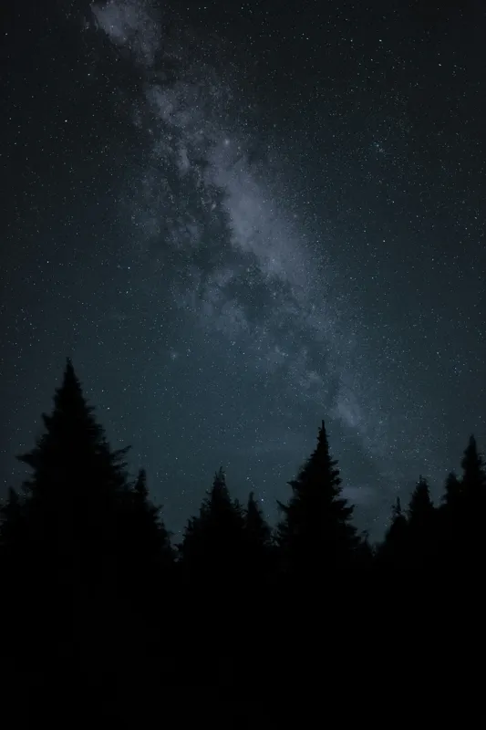 Calea Lactee în pădure întunecată, 100 x 150 cm – poza 2