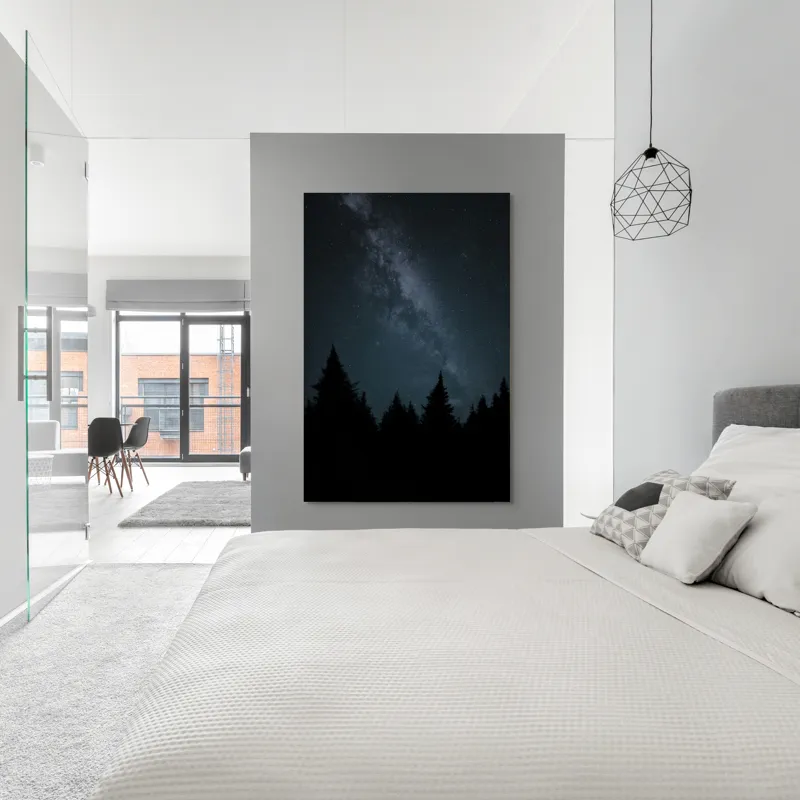 Calea Lactee în pădure întunecată, 100 x 150 cm – poza 5