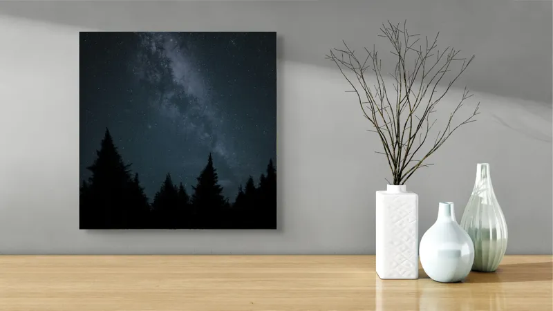 Calea Lactee în pădure întunecată, 50 x 50 cm – poza 3