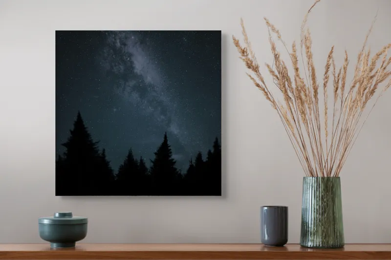 Calea Lactee în pădure întunecată, 50 x 50 cm – poza 4