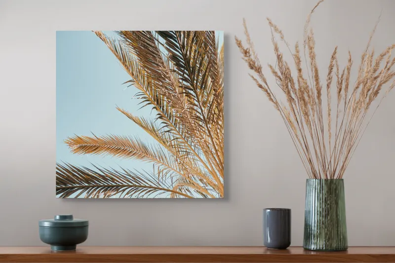 Palmier Frunze Cer Albastru Natură, 50 x 50 cm – poza 4