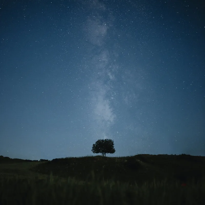 Peisaj Nocturn cu Stele Natură, 100 x 100 cm – poza 2