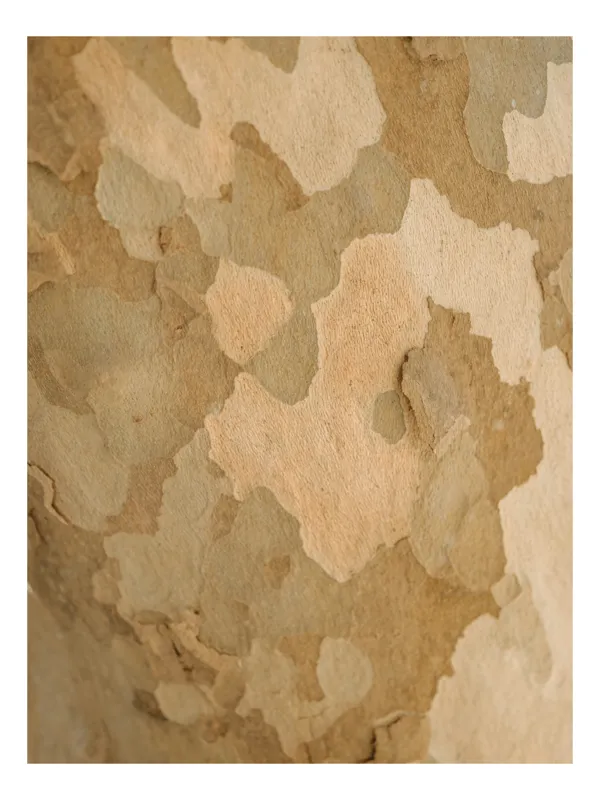 Tablou Canvas Abstract cu Texturi Naturale Multicolor, 50 x 50 cm