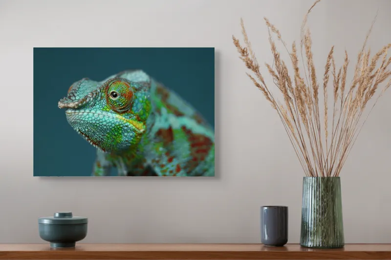 Cameleon culori vibrante natură, 54 x 39 cm – poza 4