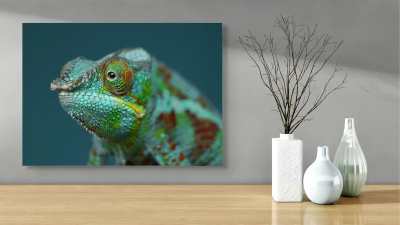 Cameleon culori vibrante natură, 70 x 50 cm – poza 3