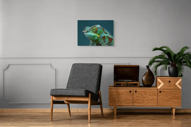 Cameleon culori vibrante natură, 70 x 50 cm – poza 4