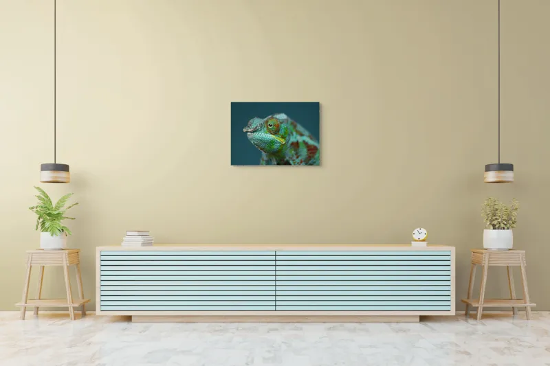 Cameleon culori vibrante natură, 70 x 50 cm – poza 7