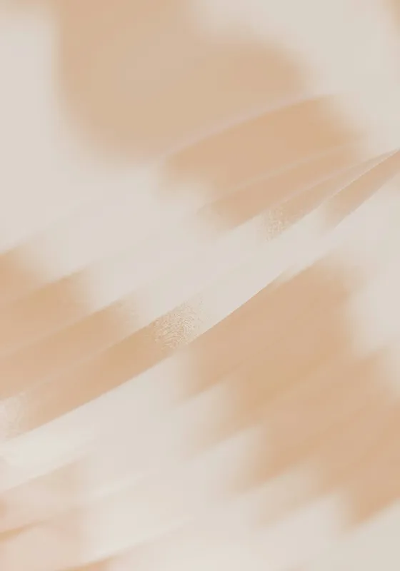 Curbe moi în lumină caldă, 70 x 100 cm – poza 2