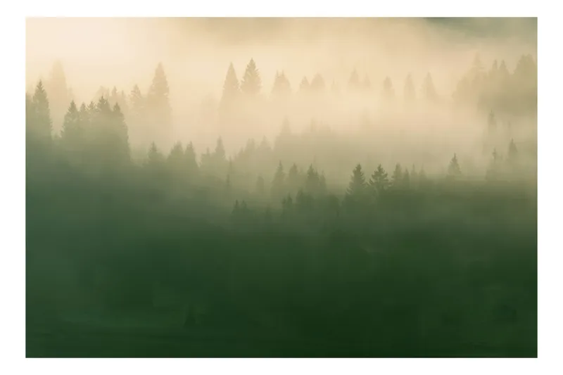 Tablou Canvas Pădure Încețoșată Verde și Galben, 100 x 100 cm