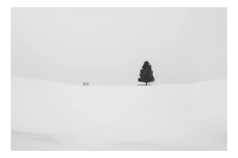Tablou Canvas Peisaj de Iarnă Alb-Negru Minimalist, 150 x 100 cm