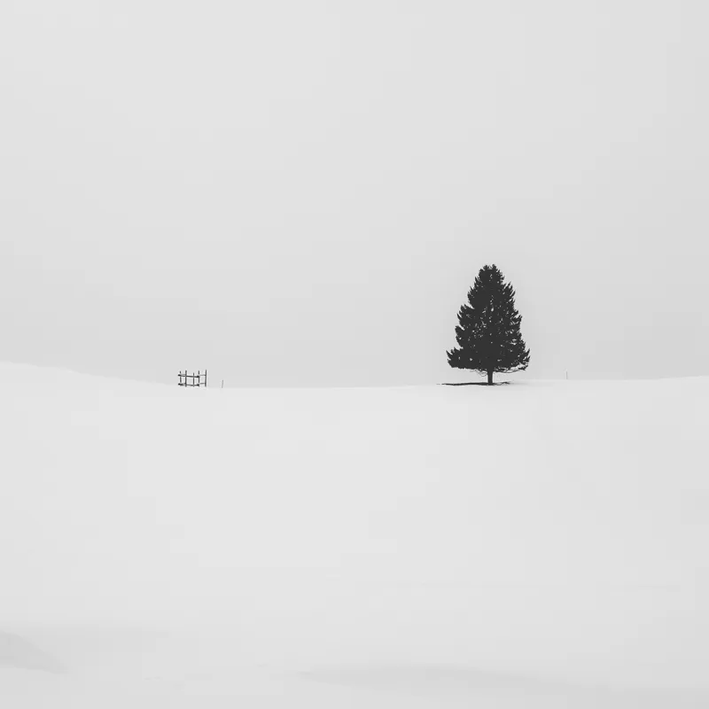 Tablou Canvas Peisaj de Iarnă Alb-Negru Minimalist, 50 x 50 cm – poza 2