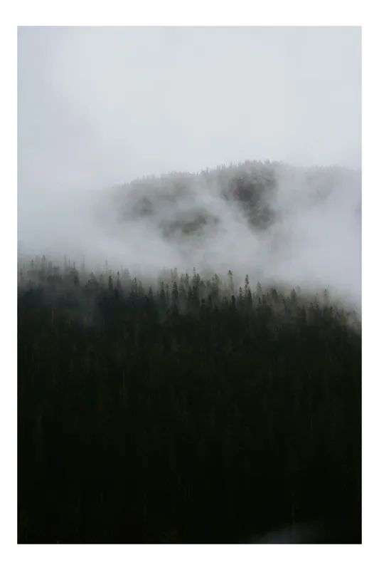 Tablou Canvas Pădure Încețoșată Atmosferă Misterioasă, 100 x 100 cm