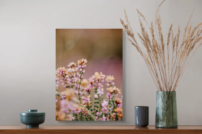 Tablou Canvas, "Flori de toamnă la amurg", Flori, Roz, Fragilitate, Natură, Delicatețe, Fundal, Verde, Pastel, Blândețe, Vedele., 39 x 54 cm – poza 3