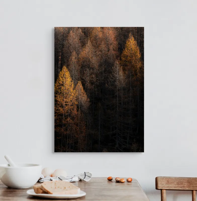 Tablou Canvas, "Toamna întunecată în pădurea de conifere", Copaci, Toamnă, Lumină, Umbre, Pădure, Contrast, Frunziș, Armonie, Tablou, Natură, 50 x 70 cm – poza 3