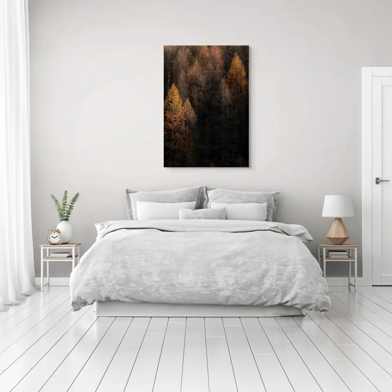 Tablou Canvas, "Toamna întunecată în pădurea de conifere", Copaci, Toamnă, Lumină, Umbre, Pădure, Contrast, Frunziș, Armonie, Tablou, Natură, 70 x 100 cm – poza 3
