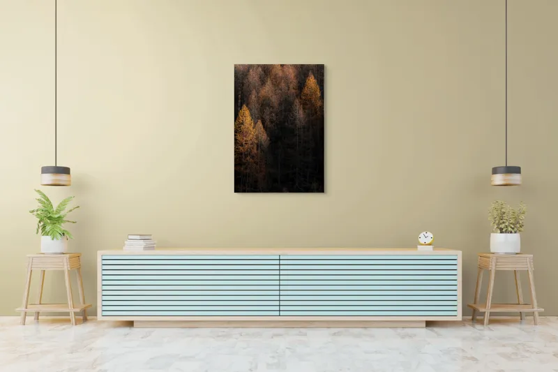 Tablou Canvas, "Toamna întunecată în pădurea de conifere", Copaci, Toamnă, Lumină, Umbre, Pădure, Contrast, Frunziș, Armonie, Tablou, Natură, 70 x 100 cm – poza 5