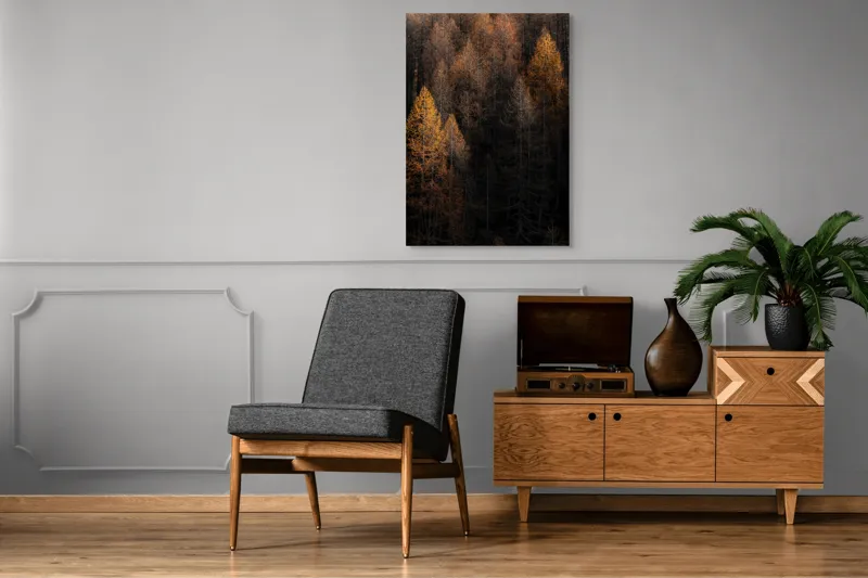 Tablou Canvas, "Toamna întunecată în pădurea de conifere", Copaci, Toamnă, Lumină, Umbre, Pădure, Contrast, Frunziș, Armonie, Tablou, Natură, 70 x 100 cm – poza 6