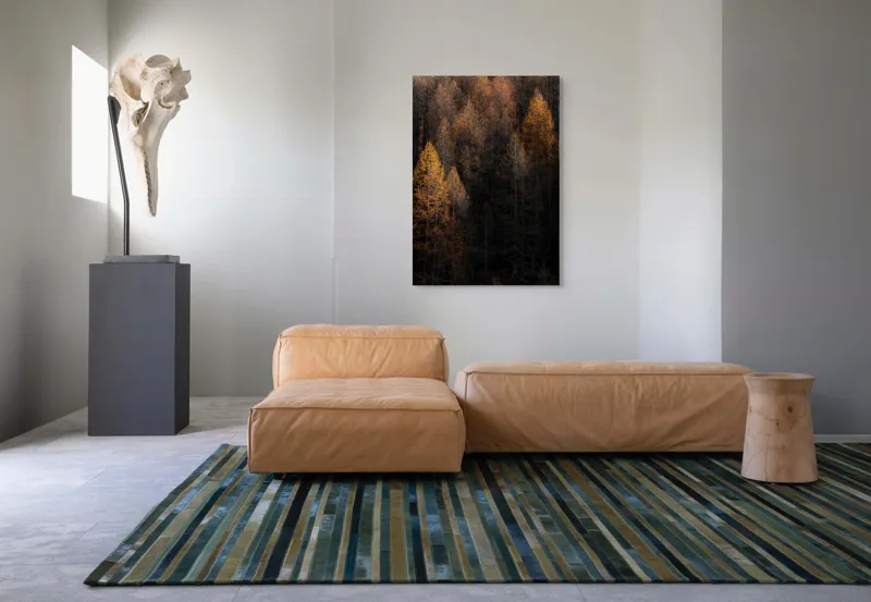 Tablou Canvas, "Toamna întunecată în pădurea de conifere", Copaci, Toamnă, Lumină, Umbre, Pădure, Contrast, Frunziș, Armonie, Tablou, Natură, 70 x 100 cm – poza 7