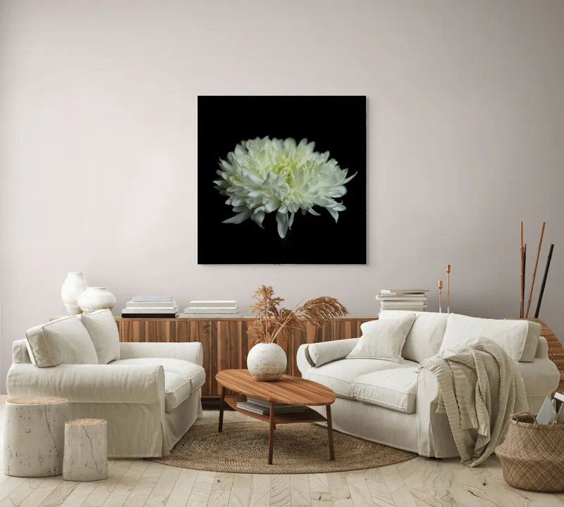 Tablou Canvas cu Floare Albă, Contrast Întunecat, 100 x 100 cm – poza 3
