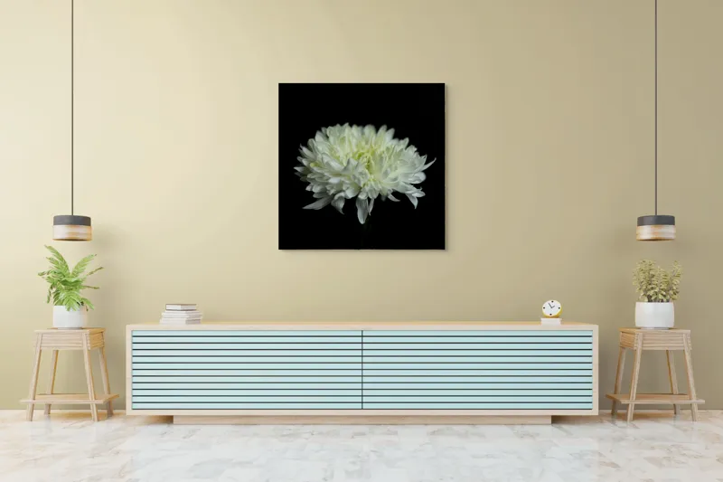 Tablou Canvas cu Floare Albă, Contrast Întunecat, 100 x 100 cm – poza 5