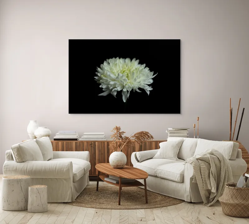 Tablou Canvas cu Floare Albă, Contrast Întunecat, 150 x 100 cm – poza 3