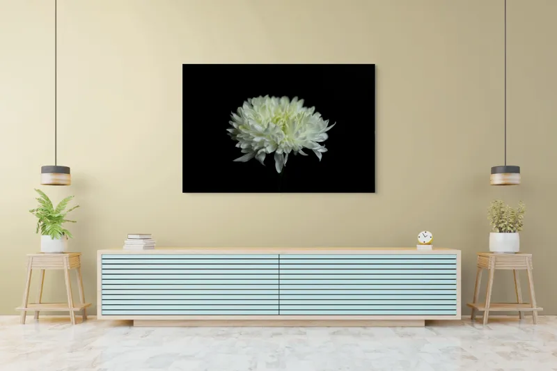 Tablou Canvas cu Floare Albă, Contrast Întunecat, 150 x 100 cm – poza 6