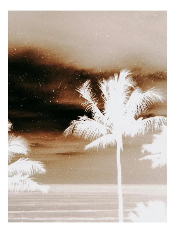 Tablou Canvas Vise Crepusculare Tropicale Ethereale, 26 x 39 cm