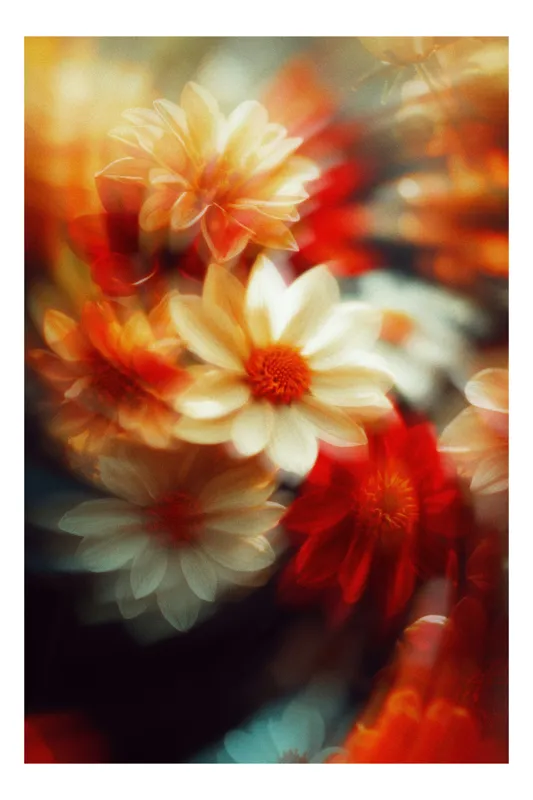 Tablou Canvas Floristic Nuanțe Luminoase Artă Murală, 70 x 100 cm