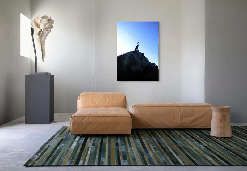 Tablou Canvas, "Pasărea și stânca visătoare", 70 x 100 cm – poza 7