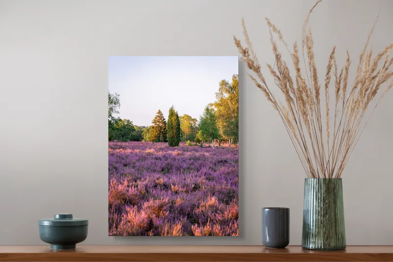 Tablou Canvas, "Poiana din mijlocul lanului de lavandă", Peisaj, Lavandă, Apus, Copaci, Serenitate, Natură, Câmp, Tranquilitate, Violet, Vegetație, 39 x 54 cm – poza 3