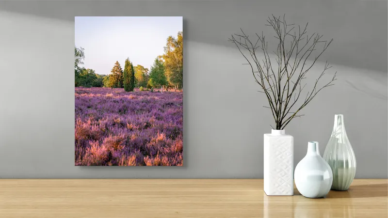 Tablou Canvas, "Poiana din mijlocul lanului de lavandă", Peisaj, Lavandă, Apus, Copaci, Serenitate, Natură, Câmp, Tranquilitate, Violet, Vegetație, 39 x 54 cm – poza 4