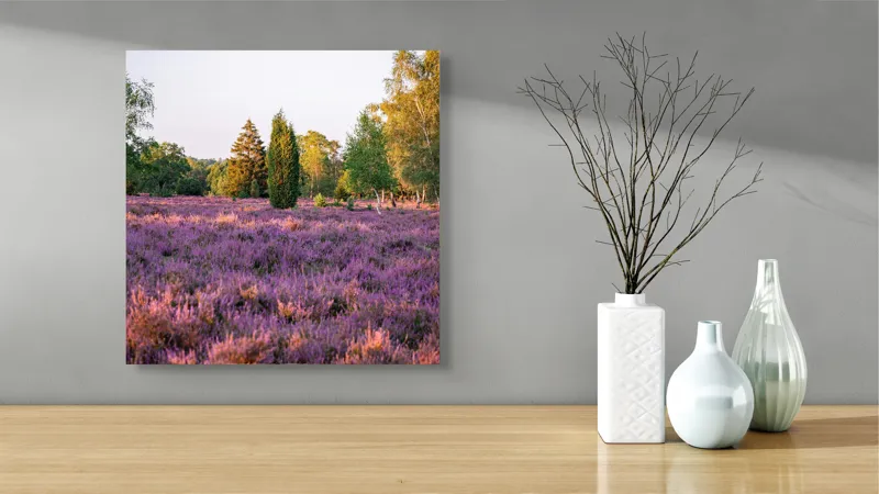 Tablou Canvas, "Poiana din mijlocul lanului de lavandă", Peisaj, Lavandă, Apus, Copaci, Serenitate, Natură, Câmp, Tranquilitate, Violet, Vegetație, 50 x 50 cm – poza 3