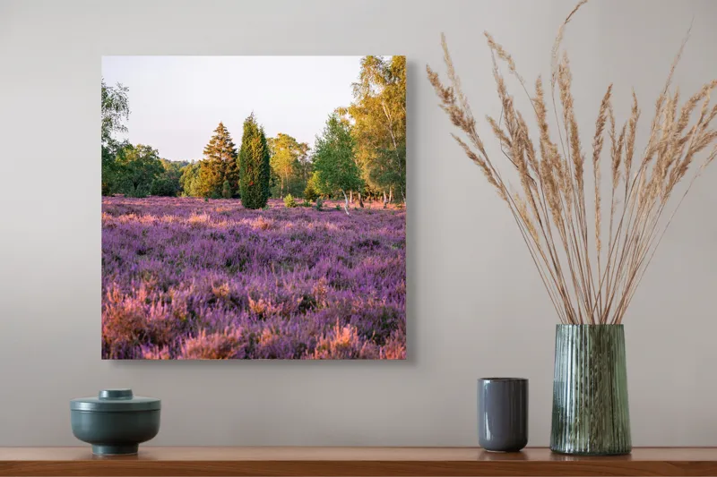 Tablou Canvas, "Poiana din mijlocul lanului de lavandă", Peisaj, Lavandă, Apus, Copaci, Serenitate, Natură, Câmp, Tranquilitate, Violet, Vegetație, 50 x 50 cm – poza 4