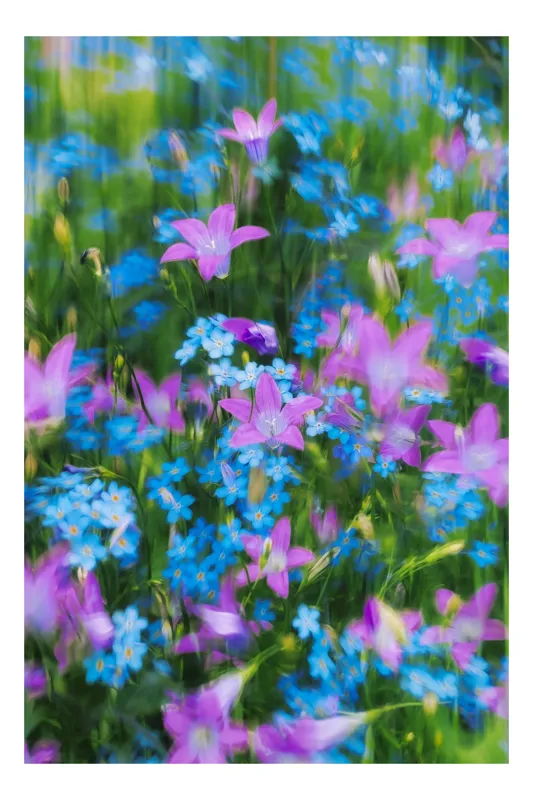 Tablou Canvas cu vibrația culorilor de primăvară, 50 x 90 cm