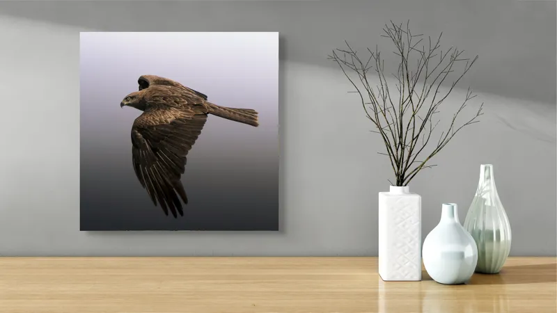 Tablou Canvas Vultur în zborul visului infinit, 50 x 50 cm – poza 3
