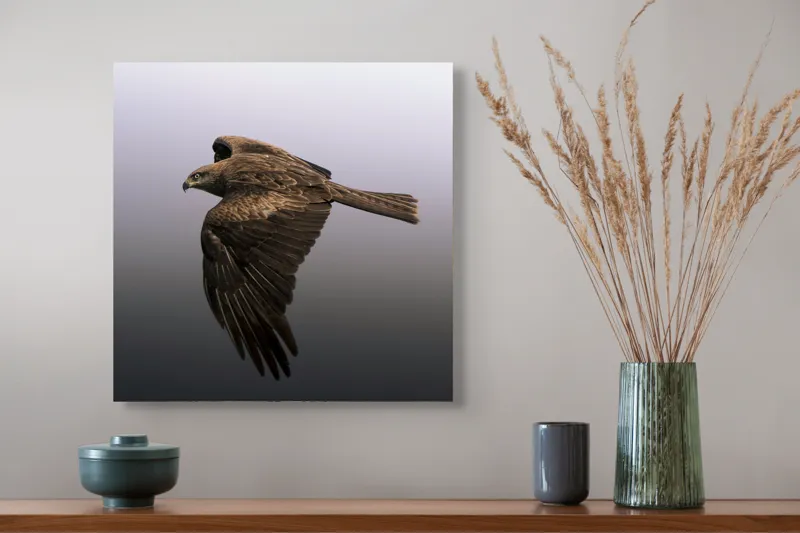 Tablou Canvas Vultur în zborul visului infinit, 50 x 50 cm – poza 4