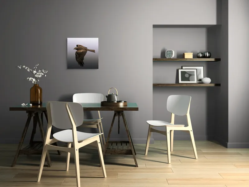 Tablou Canvas Vultur în zborul visului infinit, 50 x 50 cm – poza 8