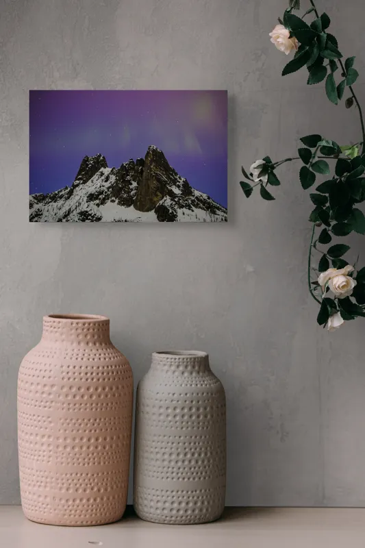 Tablou Canvas pe temă de peisaj cu cer înstelat, 39 x 26 cm – poza 4