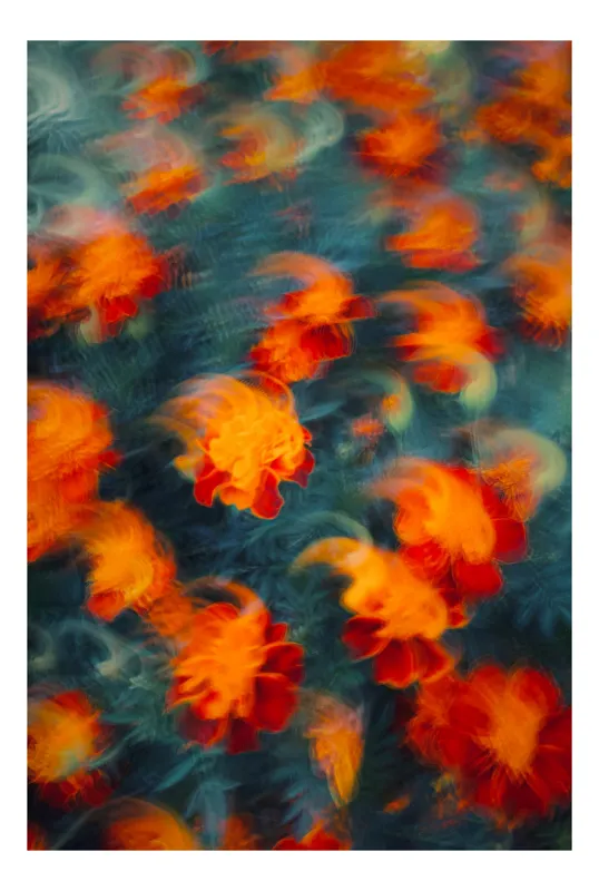 Tablou Canvas Abstract Floral Dansul focului în grădina viselor, 26 x 39 cm