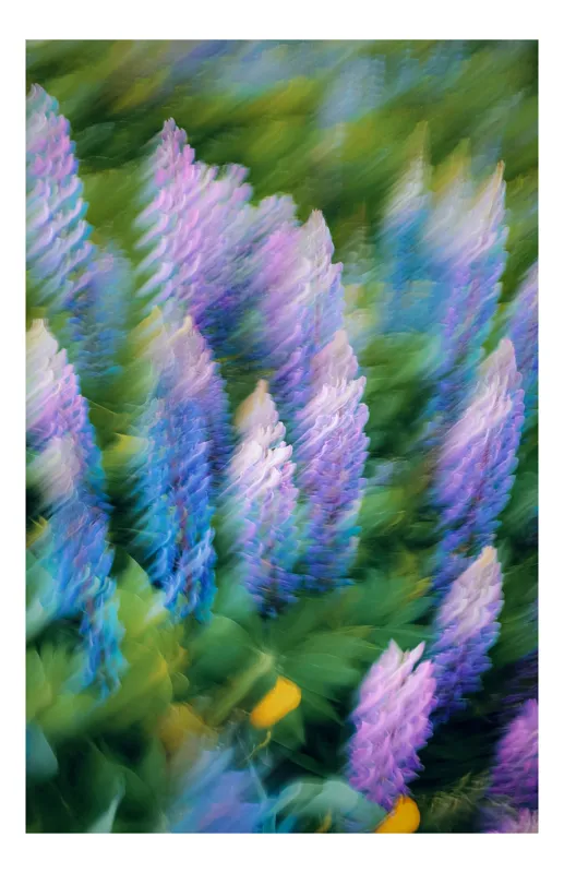 Tablou Canvas pe temă de natură, imagine fluidă a primăverii luminoase, 26 x 39 cm