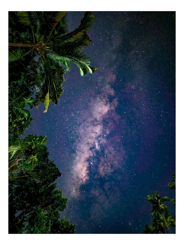 Tablou Canvas Calea Lactee printre frunzele tropicale Natura Galaxie, 50 x 70 cm