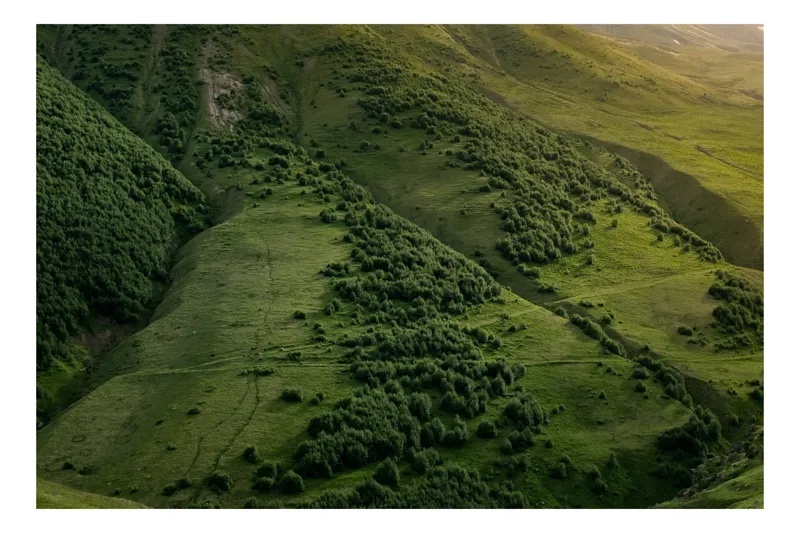 Tablou Canvas, "Pădure de smarald la asfințit", Verde, Văi, Vegetație, Vârfuri, Vremuri, Visterie, Viziune, Variație, Văzduh, Vise., 70 x 50 cm