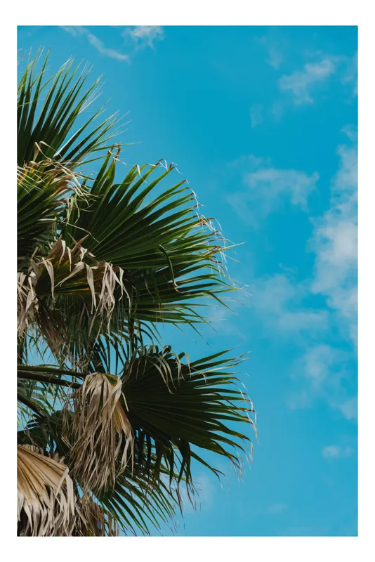 Tablou Canvas pe tema cerului tropical albastru, 50 x 70 cm