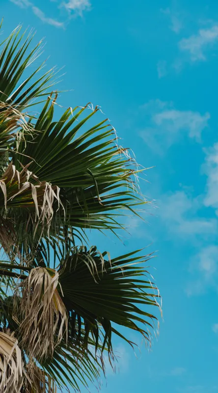 Tablou Canvas pe tema cerului tropical albastru, 50 x 90 cm – poza 2