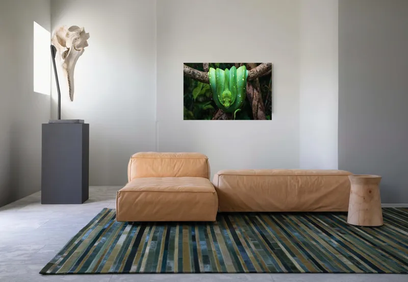 Tablou Canvas pe tema Somnul șarpelui smarald în pădure, 90 x 50 cm – poza 8